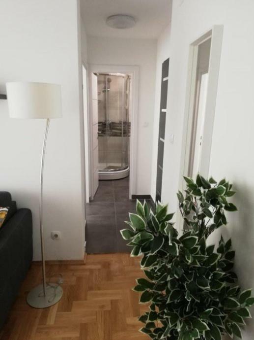Apartments Ali Zagrzeb Zewnętrze zdjęcie